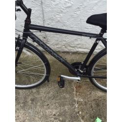 Ridgeback speed bike