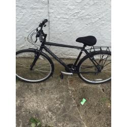 Ridgeback speed bike