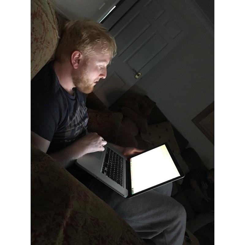 Ginger for sale - does not like sharing anything
