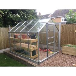 Greenhouse 8x4 ft