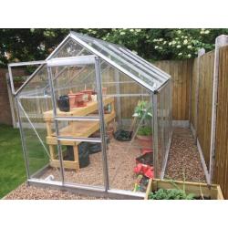 Greenhouse 8x4 ft