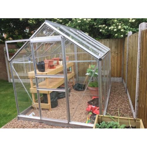 Greenhouse 8x4 ft