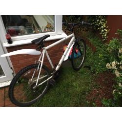 @ BIKES - 50 POUNDS EACH - FREE DELIVERY