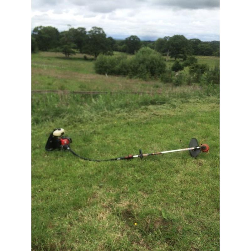 Petrol backpack strimmer