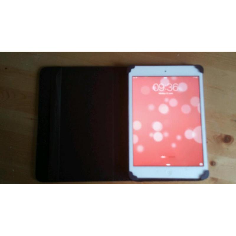 Ipad mini