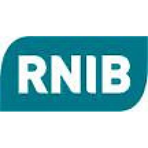 RNIB Community Network Volunteer - Wales 9400
