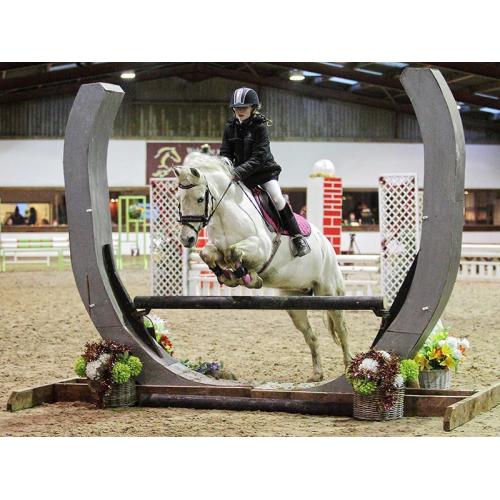 13`1hh grey gelding for sale, jumping pony