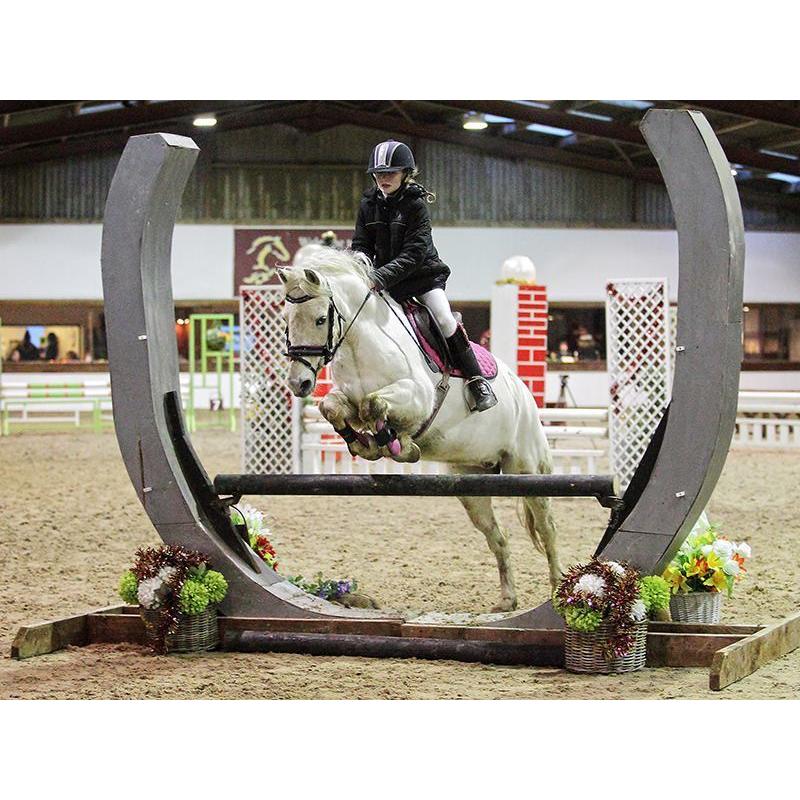 13`1hh grey gelding for sale, jumping pony