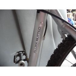 giant terrago disc.