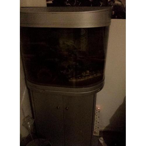 Fish tank