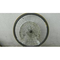 Campagnolo rear wheel shimano ultrega hub