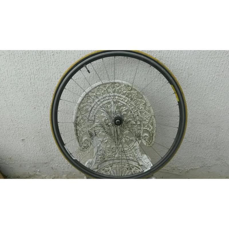 Campagnolo rear wheel shimano ultrega hub