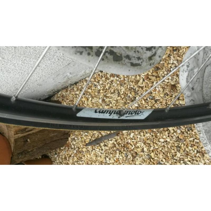Campagnolo rear wheel shimano ultrega hub
