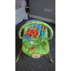 Fisher Price Baby Bouncer