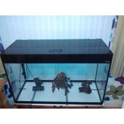 Fish tank,lid,lights,heater,ornamental pieces, 39inch long
