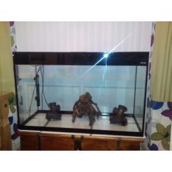Fish tank,lid,lights,heater,ornamental pieces, 39inch long