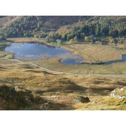 Cook/Housekeeper, Gardener/Maintenance couple for West Coast Highland Estate