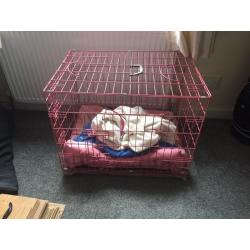 Pink dog cage