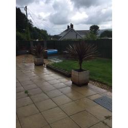 Large wooden planter with red palm