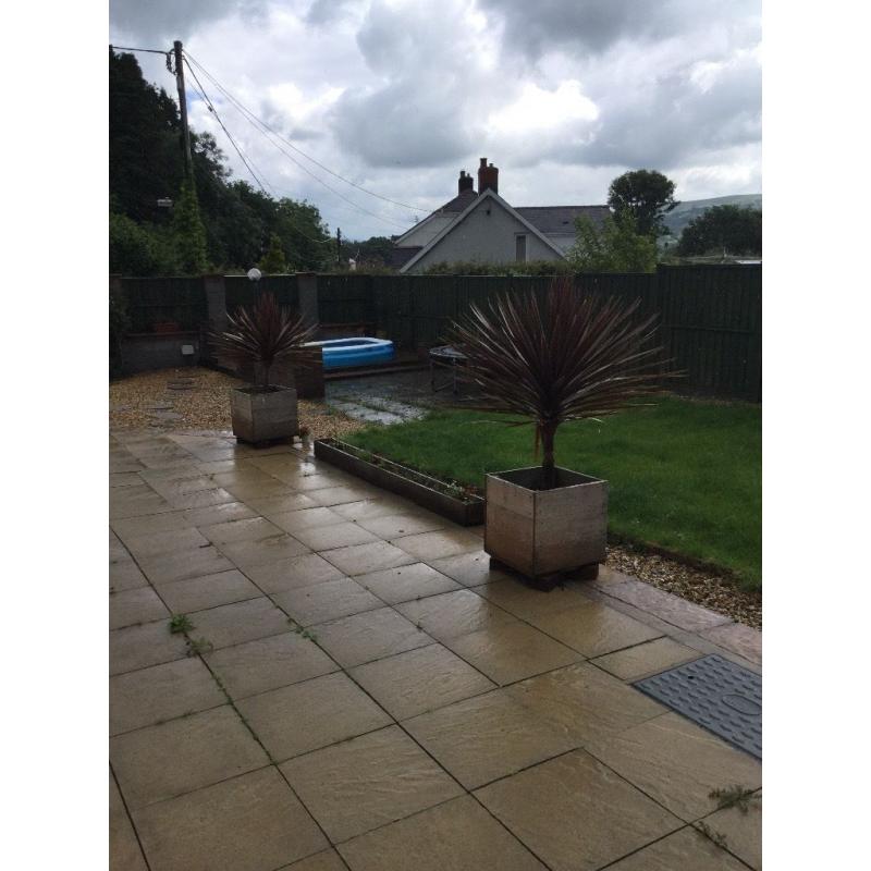 Large wooden planter with red palm