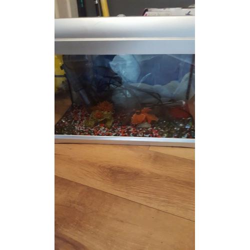FULL SET UP TO START TANK