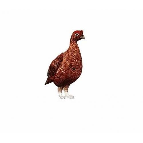 Seasonal employment: grouse beating & estate work