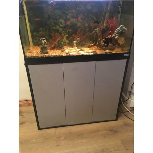 Fish tank and fish
