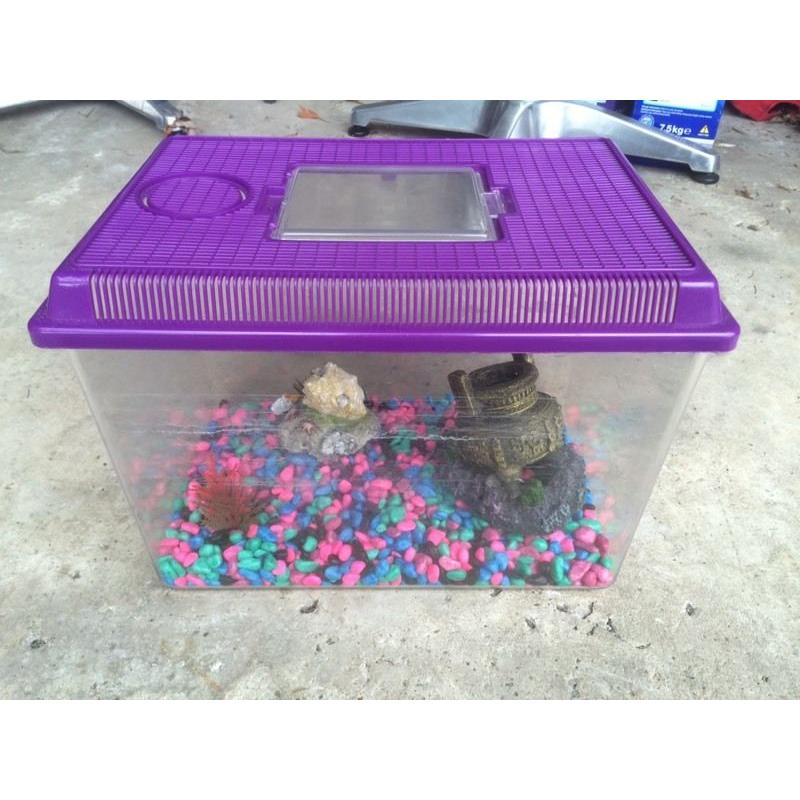 Fish Tank