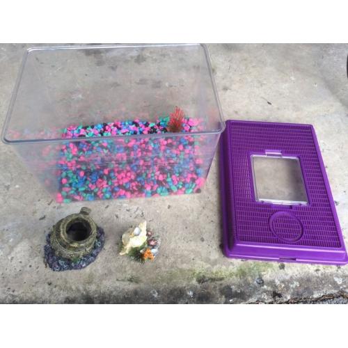Fish Tank