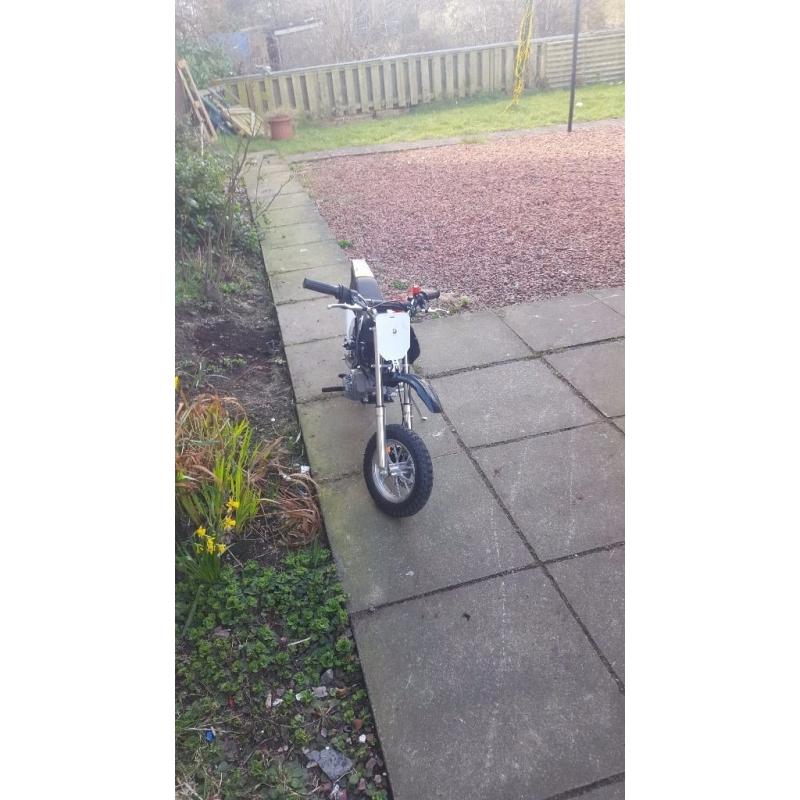 50cc mini crosser