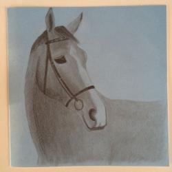 Handmade cards for all occasions