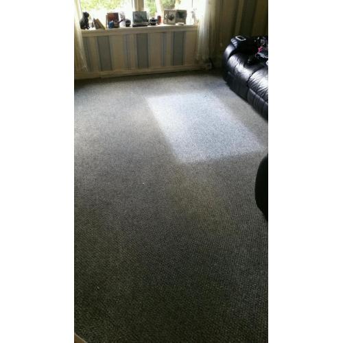 Carpet Cleaning Services till after 8pm every night.