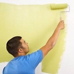 C&S PAINTING AND DECORATING CALL FOR FREE QUOTE 07733743594