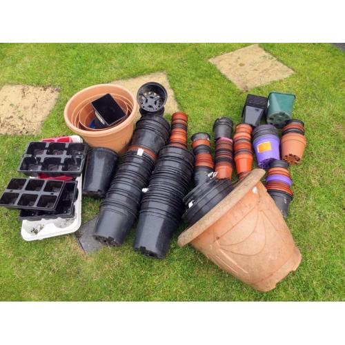 LOTS OF FLOWER POTS - FREE TO COLLECTOR