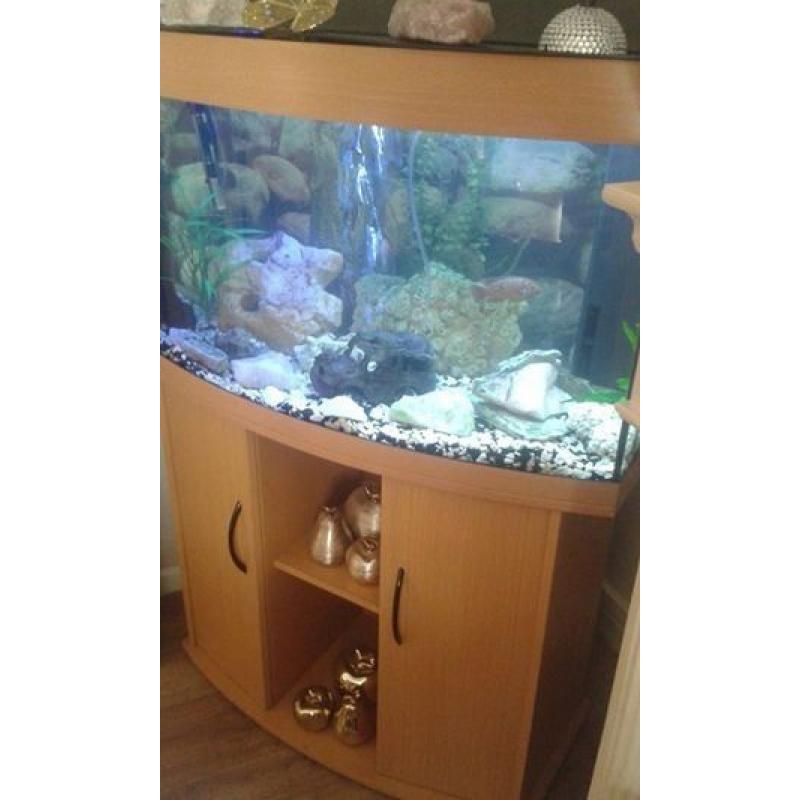 juwel fish tank