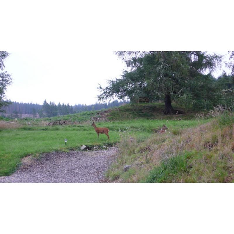 beautiful building plot in rural location, selling far below value