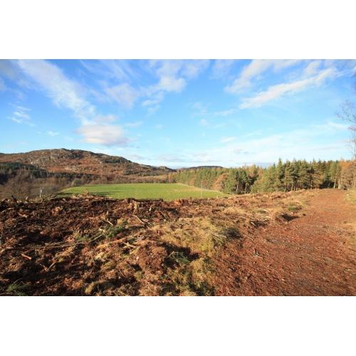 beautiful building plot in rural location, selling far below value
