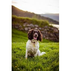 Glasgow Family Photographer