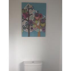 Owl picture canvas