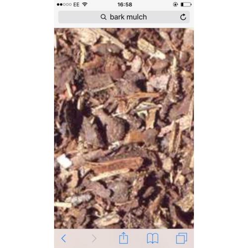 Bark