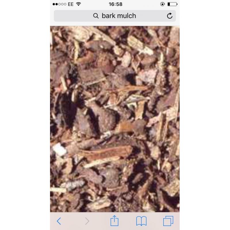 Bark
