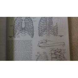 The Anatomy coloring book