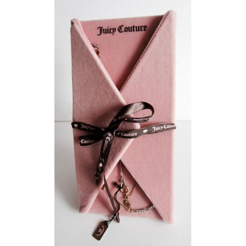 Juicy Couture Necklace (Unworn New)