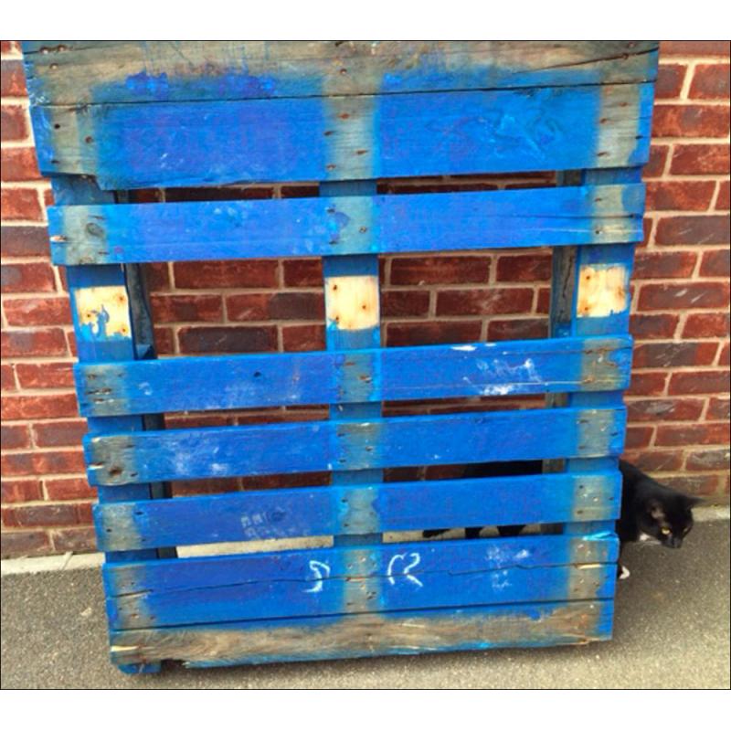 Pallet