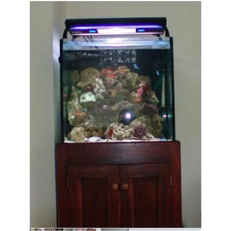 2x2 marine fish tank and sump