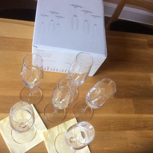 Habitat Vienna designer champagne glasses, crystal