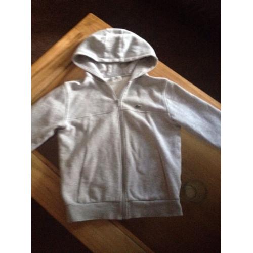 Lacoste hoody grey, boys 10-11years