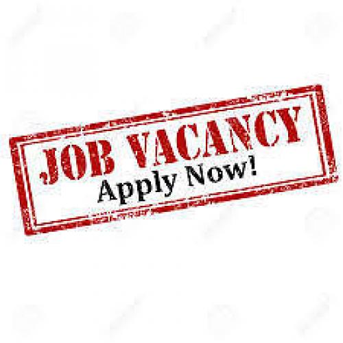 15 NEW DRIVER/SALES/SERVICE POSITIONS - NO EXPERIENCE NEEDED