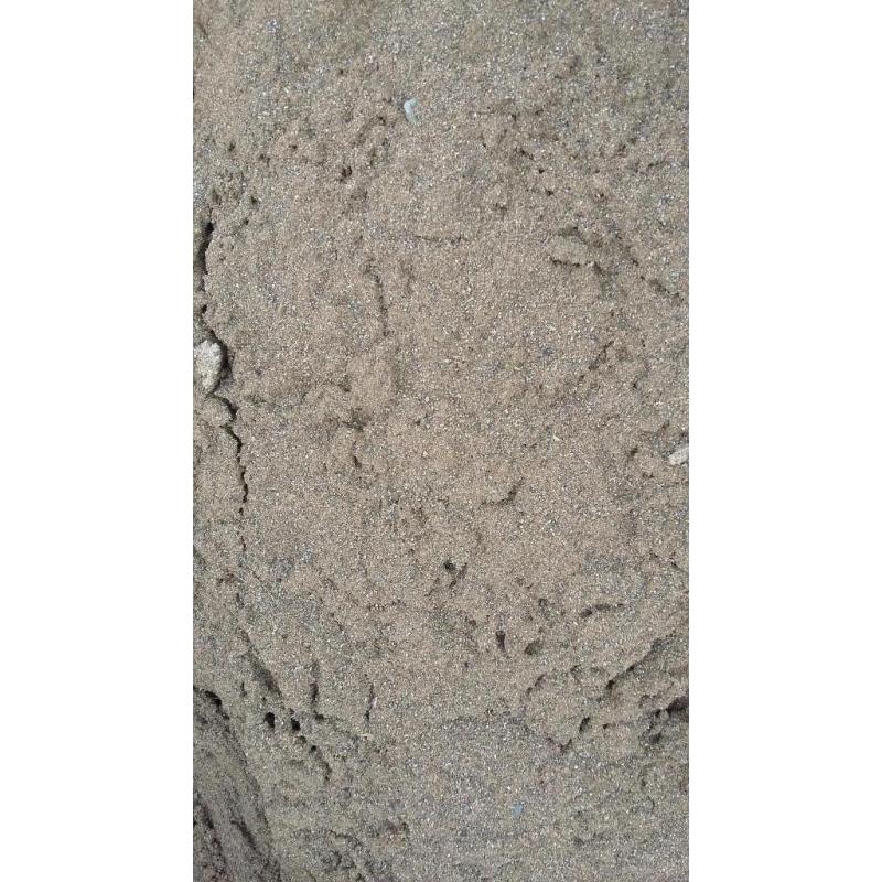 Building, sharp and concrete sand. No V.A.T! A full ton!