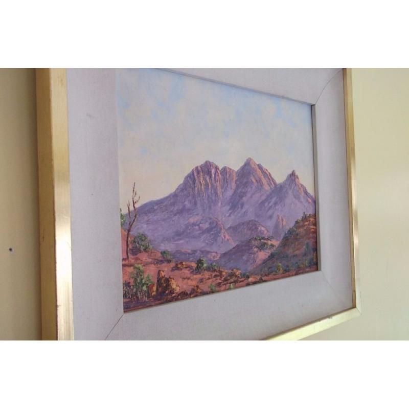 Oil painting picture artist Vicki Darken mt Sonder Australia